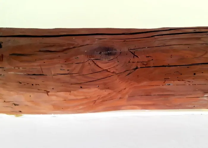 Creuza Da Me ღ ジェノヴァ